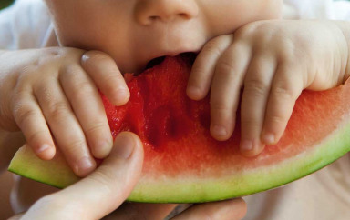 bebe-babilou-fruits-legume