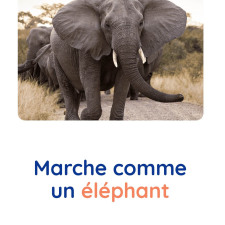 motricite-animaux-elephant-babilou